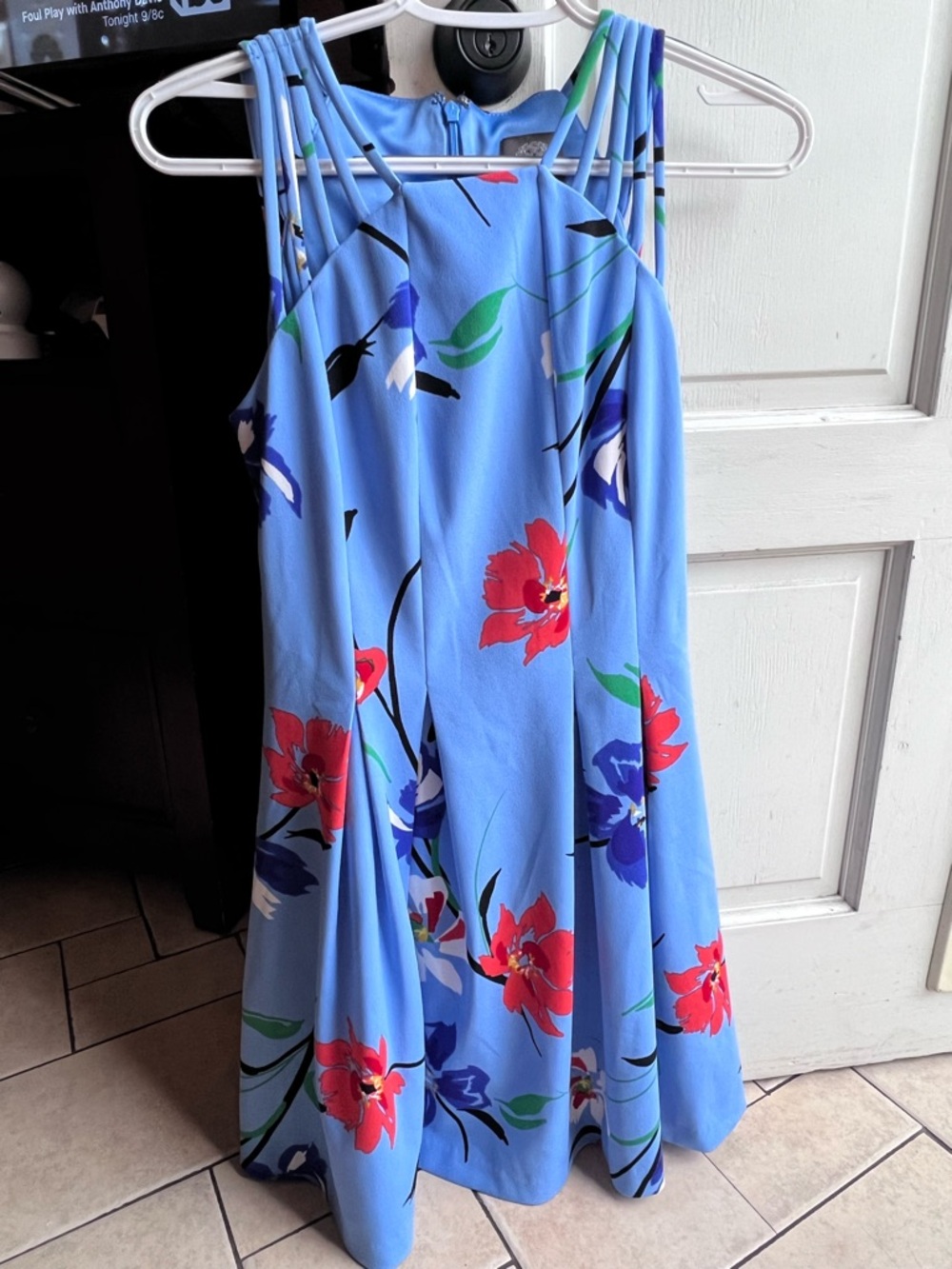Vince Camuto Light Blue Dress with Red & Purple Floral Accents